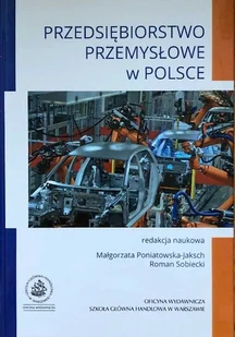 Przedsiębiorstwo przemysłowe w Polsce - Biznes - miniaturka - grafika 1