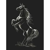 Pasmanteria - Haft krzyżykowy, Zestaw do haftu, Zaklęty koń - miniaturka - grafika 1