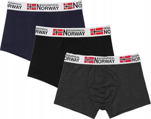 Męskie bokserki Geographical Norway 3-pak GN-06 szary/czarny/granat M - Majtki męskie - miniaturka - grafika 1