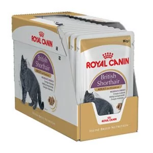 ROYAL CANIN British Shorthair Adult 34 4kg + saszetka British Adult 12x85g (Sos) - Sucha karma dla kotów - miniaturka - grafika 4