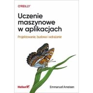 Książki o programowaniu - Uczenie maszynowe w aplikacjach. Projektowanie, budowa i wdrażanie - miniaturka - grafika 1
