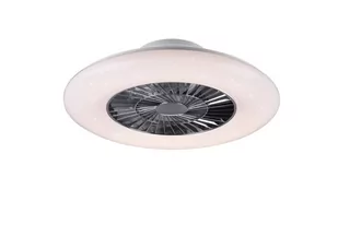 RL VISBY z wentylatorem, LED 40W Pilot efekt świecenia gwiaździsty, barwa światła zmienna Lampa sufitowa ściemnialna RL R62402106 R62402106 - Wentylatory sufitowe - miniaturka - grafika 1