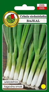 Cebula siedmiolatka Bajkal 50 g PNOS - Nasiona i cebule - miniaturka - grafika 1