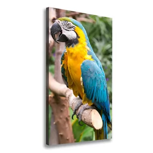 Foto obraz na płótnie do salonu pionowy Papuga Ara - Obrazy i zdjęcia na płótnie - miniaturka - grafika 1