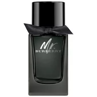 Wody i perfumy męskie - Burberry Mr for Men woda perfumowana 100ml - miniaturka - grafika 1