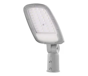 LED Lampa uliczna SOLIS LED/50W/230V 4000K IP65 - Lampy ogrodowe - miniaturka - grafika 1