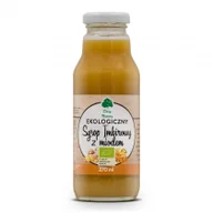 Zdrowa żywność - Dary Natury Syrop Imbirowy z Miodem BIO 270ml - - miniaturka - grafika 1