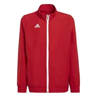 Koszulki i topy damskie - adidas Unisex Kids Track Top Ent22 Prejkty, Tepore, H57540, 116 EU - miniaturka - grafika 1