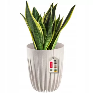 Doniczka Osłonka Eko + Wkładka Kremowa 14,5X17Cm - Donice Doniczka Osłonka Eko + Wkładka Kremowa 14,5X17Cm - Donice - miniaturka - grafika 1