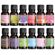 Herbata - Olejki eteryczne Naturalny czysty aromaterapia Zapachy olejków eterycznych Dyfuzor 10ml_PHC02 zielona herbata 1*1*1 - miniaturka - grafika 1