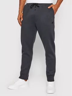 Spodnie sportowe męskie - 4F Spodnie dresowe H4Z21-SPMD010 Szary Regular Fit - grafika 1