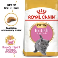 Sucha karma dla kotów - ROYAL CANIN British Shorthair Kitten karma sucha dla kociąt, do 12 miesiąca, rasy brytyjski krótkowłosy - miniaturka - grafika 1