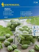 Nasiona i cebule - Ogórek meksykański MATEO nasiona Kiepenkerl - miniaturka - grafika 1