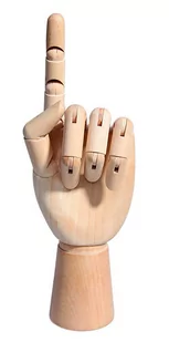 Leniar Model dłoni lewej 25cm 90552L - Pomoce naukowe - miniaturka - grafika 1