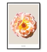 Plakaty - Fox Art Studio, Plakat, Kwiat,  wymiary  50x70 cm - miniaturka - grafika 1