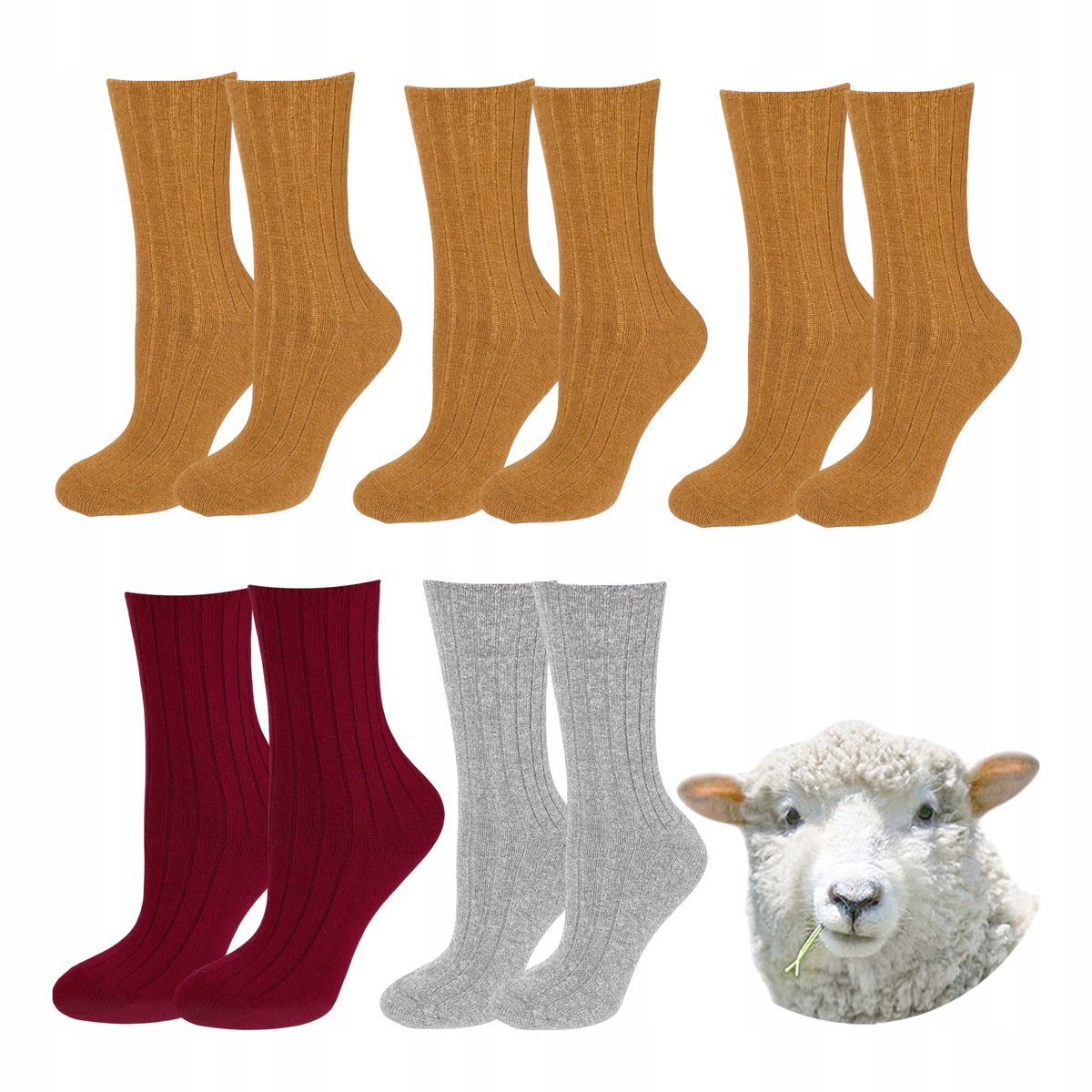 Skarpetki merino bezuciskowe skarpety z wełny jagnięcej 39-41 Cerber 5pak