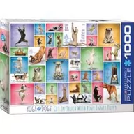 Puzzle - Eurographics Yoga Dogs 1000pc Puzzle (Other) - miniaturka - grafika 1