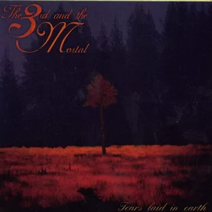 Third and the Mortal - Tears Laid In Earth - Metal, Punk - miniaturka - grafika 1