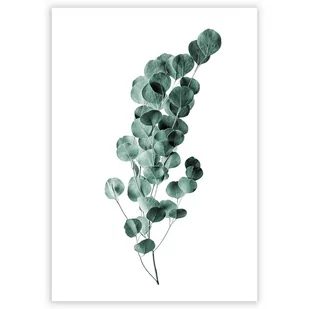 Dekoria Dekoria Plakat Eucalyptus Emerald Green 40 x 50 cm Ramka Srebrna 221B-000-02 - Plakaty - miniaturka - grafika 1