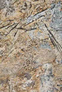 Granit Brazylijski Voragem Gold 2cm Poler - Slab - Kostki brukowe i krawężniki - miniaturka - grafika 1