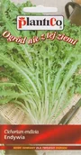 Nasiona i cebule - NASIONA Endywia Romanesca da taglio 0,2g PLANTICO 404755 - miniaturka - grafika 1