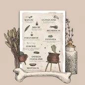 Ezoteryka - Magiczny plakat czarownicy - miniaturka - grafika 1