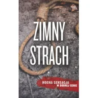 Kryminały - W.A.B. GW Foksal Karin Slaughter Zimny strach - miniaturka - grafika 1