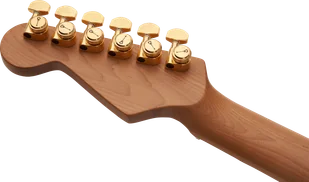 Charvel Pro-Mod DK24 HSH 2PT CM Mahogany Caramelized Maple Fingerboard Natural - Gitary elektryczne - miniaturka - grafika 3