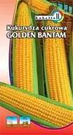 Nasiona i cebule - Kukurydza cukrowa Golden Bantam 5g / L / - miniaturka - grafika 1