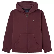 Bluzy dla chłopców - Hackett London Chłopięca bluza z kapturem Hackett Graphic Fz HDY, Czerwony (kasztanowy), 3 Lat - miniaturka - grafika 1