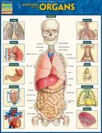 E-booki obcojęzyczne - Anatomy of the Organs [DRM] - miniaturka - grafika 1