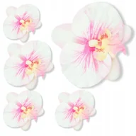 Sztuczne kwiaty - Storczyk Główka wyrobowa Kremowe Storczyki do kompozycji Kwiat Sztuczny 12 - miniaturka - grafika 1