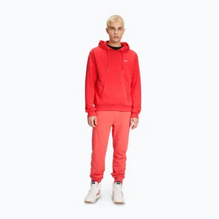 Bluza męska FILA Bengel Regular Hoody - Bluzy męskie - miniaturka - grafika 1