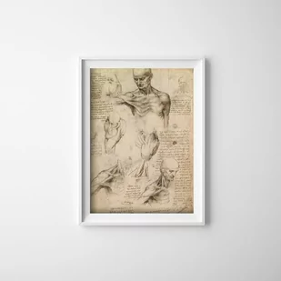 Plakat do pokoju Da Vinci Mięśnie - Plakaty - miniaturka - grafika 1