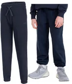 Dresy męskie - 4F CHĹOPIÄCE SPODNIE DRESOWE DRESY BAWEĹNA JOGGERY / rozm 140 - miniaturka - grafika 1