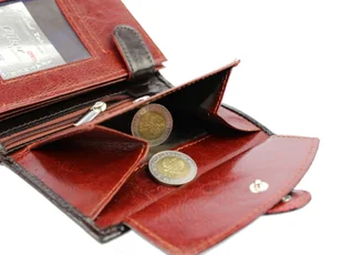 Portfel Skórzany ELKOR (PL) Skóra Licowa Średni Pionowy Z Zapięciem Dwa Skrzydełka EL125 KOLOROWY 12 x 9 x 2 [cm] - Portfele - miniaturka - grafika 8