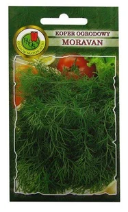 Odmiana o ciemnozielonych, bardzo aromatycznych liściach. Rośliny dorastają do 90-110 cm, dobrze się krzewią i późno zakwitają. - Nasiona i cebule - miniaturka - grafika 1