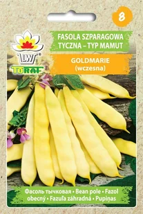 Fasola szp. tyczna, żółtostr. GOLDMARIE (Typ Mamut - wczesna) Phaseolus vulgaris L. - Nasiona i cebule - miniaturka - grafika 1