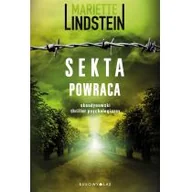Thrillery - Bukowy Las Sekta powraca Mariette Lindstein - miniaturka - grafika 1