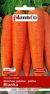 Nasiona i cebule - Plantico Marchew Blanka - miniaturka - grafika 1
