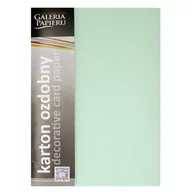 Papier do drukarek - Karton wizytówkowy A4 220g Millenium miętowy (20) - miniaturka - grafika 1