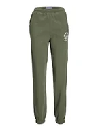 Spodnie damskie - JACK & JONES Damskie spodnie dresowe Jjxx Jxbianca Hw Relaxed Vint Sweatpants Sn do biegania, Four Leaf Clover/Print:denim Dept, XL - miniaturka - grafika 1