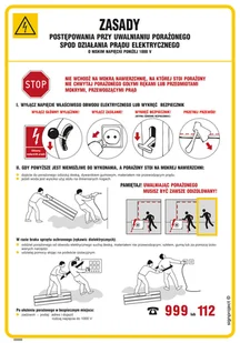 DD020 ZASADY POSTĘPOW.PRZY UWALNIANIU PORAŻONEGO SPOD DZIAŁANIA PRĄDU ELEKTR. O NISKIM NAPIĘCIU PONIŻEJ 10, FN - FOLIA SAMOPRZYLEPNA; (245X350MM) - Instrukcje stanowiskowe BHP - miniaturka - grafika 1