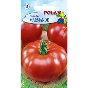 Pomidor Marmande Polan - Nasiona i cebule - miniaturka - grafika 1