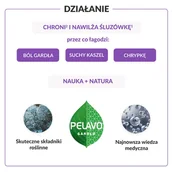 Przeziębienie i grypa - USP ZDROWIE SP. Z O.O USP ZDROWIE SP Z O.O Pelavo 1+ Gardło Spray 2 x 30 ml - miniaturka - grafika 1