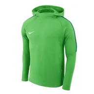 Bluzy sportowe męskie - Nike, Bluza męska, M NK Dry Academy 18 Hoodie, zielony, rozmiar XL - miniaturka - grafika 1