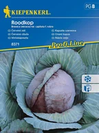 Nasiona i cebule - Kapusta Czerwona Roodkop 8371 (ST) - miniaturka - grafika 1