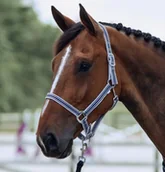 Kantary dla koni - Horze Kantar + uwiąz GLARUS - miniaturka - grafika 1