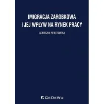 Agnieszka Piekutowska Imigracja zarobkowa i jej wpływ na rynek pracy - Powieści i opowiadania - miniaturka - grafika 1