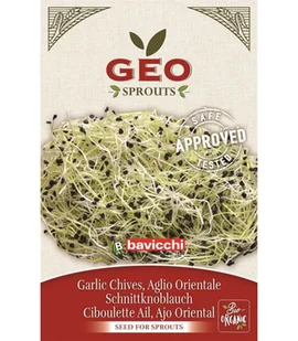 Czosnek - nasiona na kiełki GEO, certyfikowane, 6g, Bavicchi (ZAG0503) - Zdrowa żywność - miniaturka - grafika 1